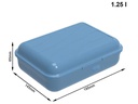 Rotho Lunchbox Fun 1250 ml, Blau