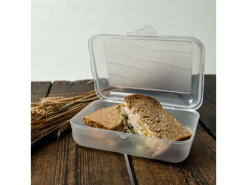 Rotho Lunchbox Fun 1250 ml, Transparent