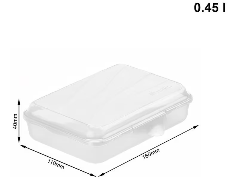 Rotho Lunchbox Fun 450 ml, Transparent