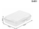 Rotho Lunchbox Fun 450 ml, Transparent