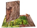 HERMA Gummibandmappe Wood Dunkelbraun