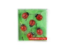 Trendform Haftmagnet Marienkäfer 6er Set, Rot
