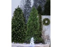 Star Trading Weihnachtsbaum Calgary 450 LED, 2.1 m