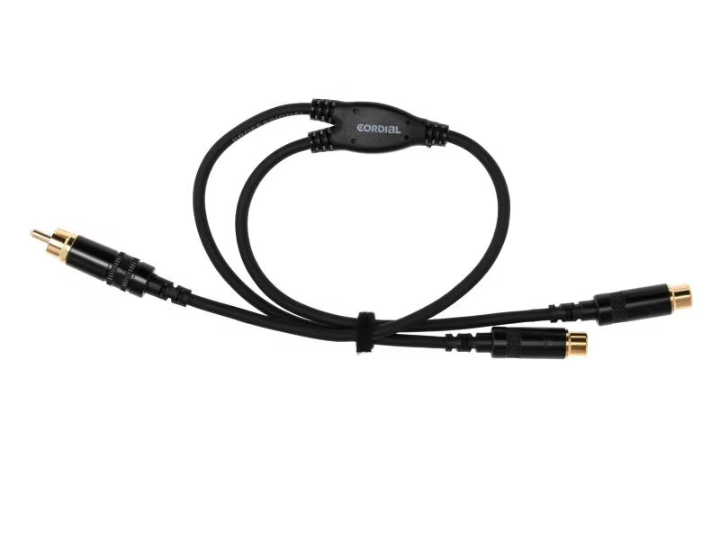 Cordial Audio-Kabel CFY 0.3 CEE Cinch - Cinch 0.3 m
