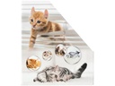 HERMA Stehsammler Katzen A4 Gelb