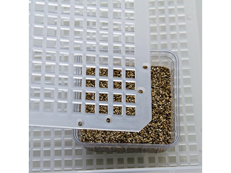 Hobby Terraristik Easy Breeder Inkubator, 48 x 25 x 51 cm