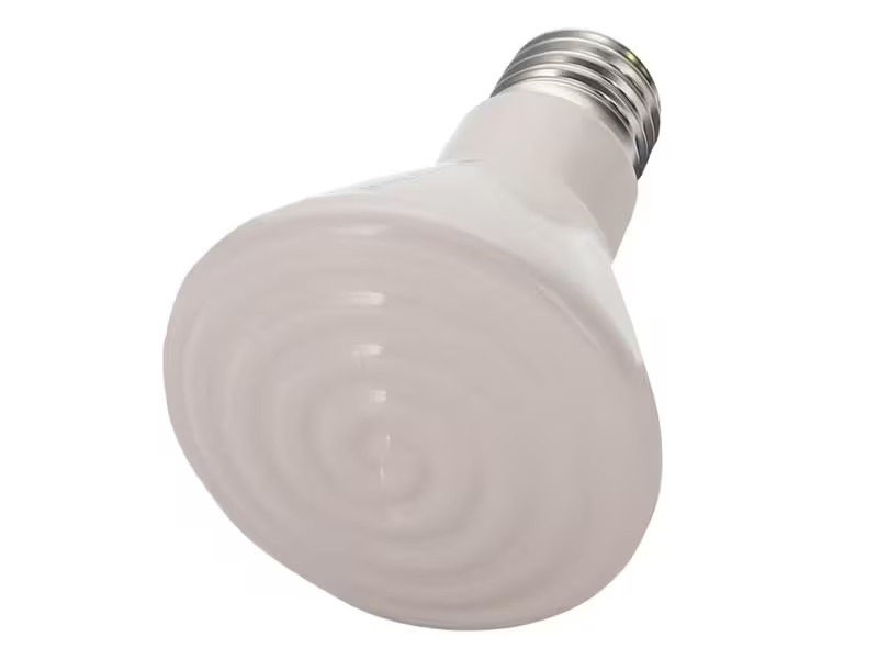 Hobby Terraristik Terrarienlampe Elstein Strahler, E27, IOT 75 / 100 W