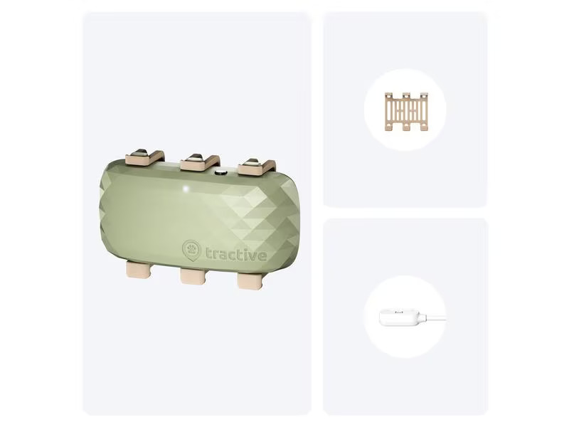 tractive GPS-Tracker DOG XL, Grün