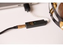 iFi Audio Kopfhörerverstärker &amp; USB-DAC GO-Link