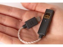 iFi Audio Kopfhörerverstärker &amp; USB-DAC GO-Link