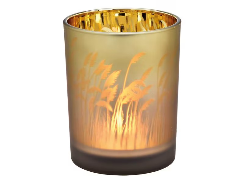 G. Wurm Windlicht Pampasgras 12 cm, Goldbraun