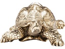 Kare Dekofigur Schildkröte 11 cm