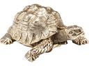Kare Dekofigur Schildkröte 11 cm