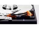 Western Digital Harddisk WD Blue 3.5 SATA 2 TB