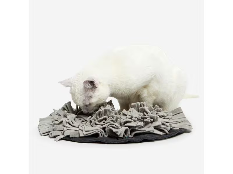 KNAUDER'S BEST Katzen-Spielzeug Schnüffelrasen, Braun