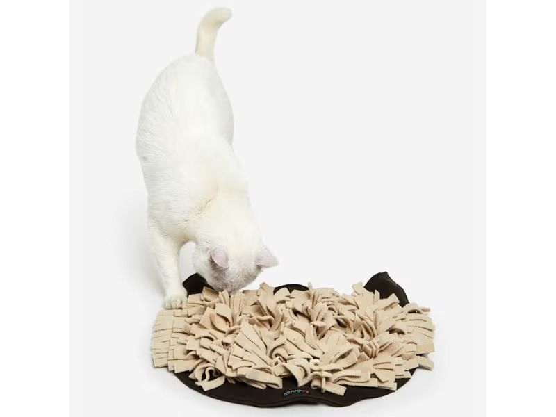 KNAUDER'S BEST Katzen-Spielzeug Schnüffelrasen, Braun