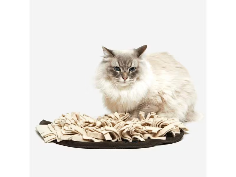 KNAUDER'S BEST Katzen-Spielzeug Schnüffelrasen, Braun