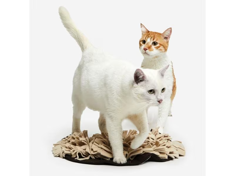 KNAUDER'S BEST Katzen-Spielzeug Schnüffelrasen, Braun