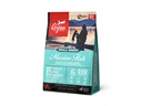 Orijen Trockenfutter Dog Small Breed Marine Fish, 1.8 kg
