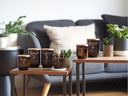 Woodwick Duftkerze Cherry Blossom &amp; Vanilla ReNew Medium Jar