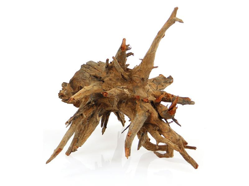 AMAZONAS Dekoration Corbo-Wurzel S, 30-40 cm