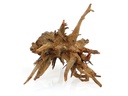 AMAZONAS Dekoration Corbo-Wurzel S, 30-40 cm