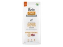 Brit Trockenfutter Care Junior Large Hypoallergenic Lamm, 12 kg