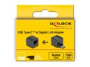 Delock Netzwerk-Adapter mini USB Typ-C