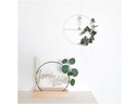 Rico Design Metallring mit Querstrebe Weiss, 25 cm