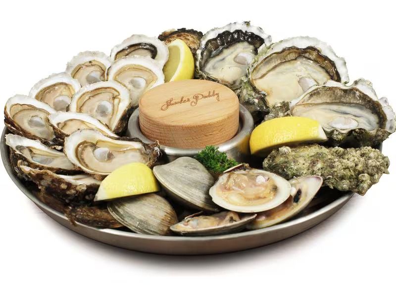 Swissmar Servierplatte Shucker Paddy Silber