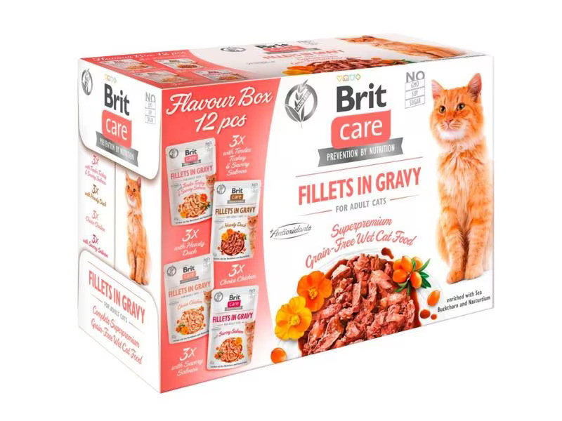 Brit Nassfutter Care Flavour box Fillets Sauce, 12 x 85 g