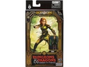 Hasbro D&amp;D Golden Archive Doric