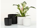 scheurich Blumentopf Ebano Solido Linea 19.3 cm, Schwarz