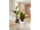 scheurich Blumentopf Groove 15.4 cm, Anthrazit