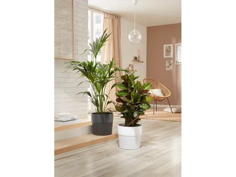 scheurich Blumentopf Groove 26 cm, Anthrazit