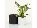 scheurich Blumentopf Perla Solido Linea 21.9 cm, Weiss
