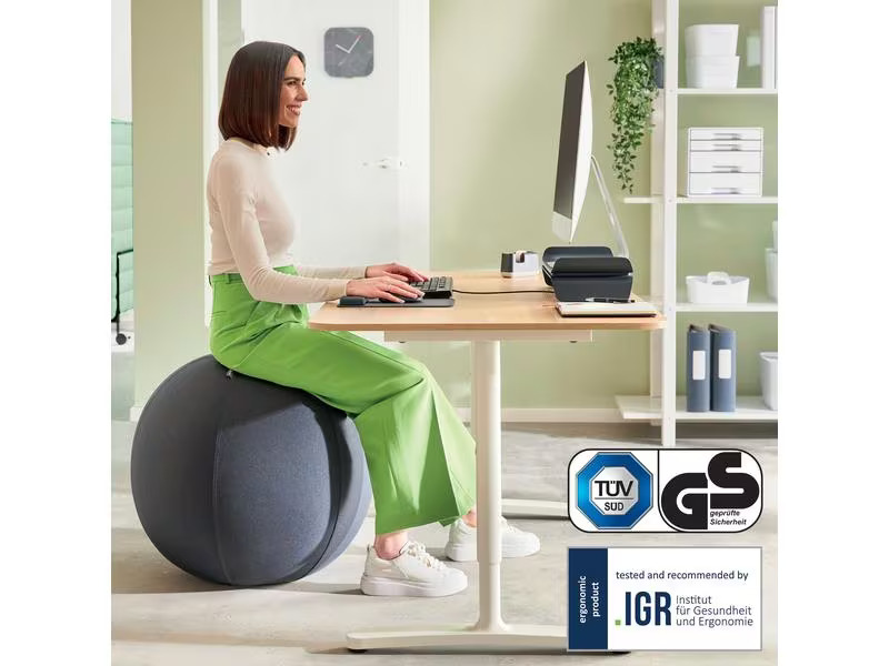 Leitz Sitzball Active 75 cm Dunkelgrau