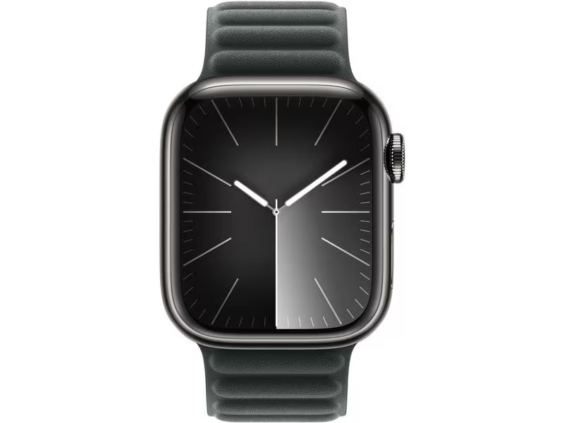 Apple Magnetic Link 41 mm Evergreen M/L