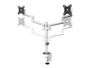 Neomounts by NewStar Tischhalterung DS60-425WH2 bis 8 kg – Weiss