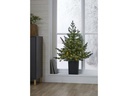 Star Trading Weihnachtsbaum LED Greyland M, 80 LEDs, 95 cm, Grün