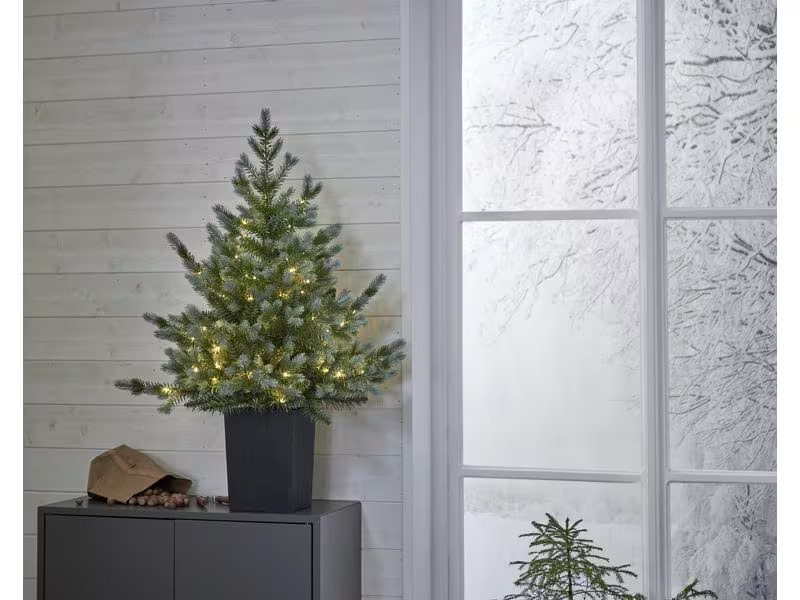 Star Trading Weihnachtsbaum LED Greyland M, 80 LEDs, 95 cm, Grün