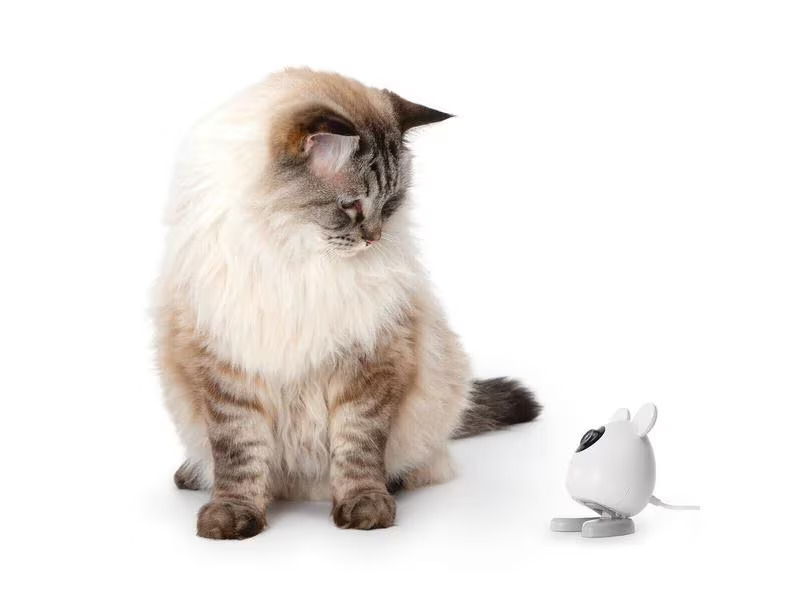 Catit Haustierkamera Pixi Smart Mouse Weiss