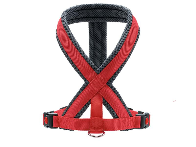 Hunter Geschirr London Comfort, XS-S, Rot