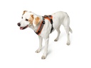 Hunter Geschirr Maldon, M, Orange/Grau
