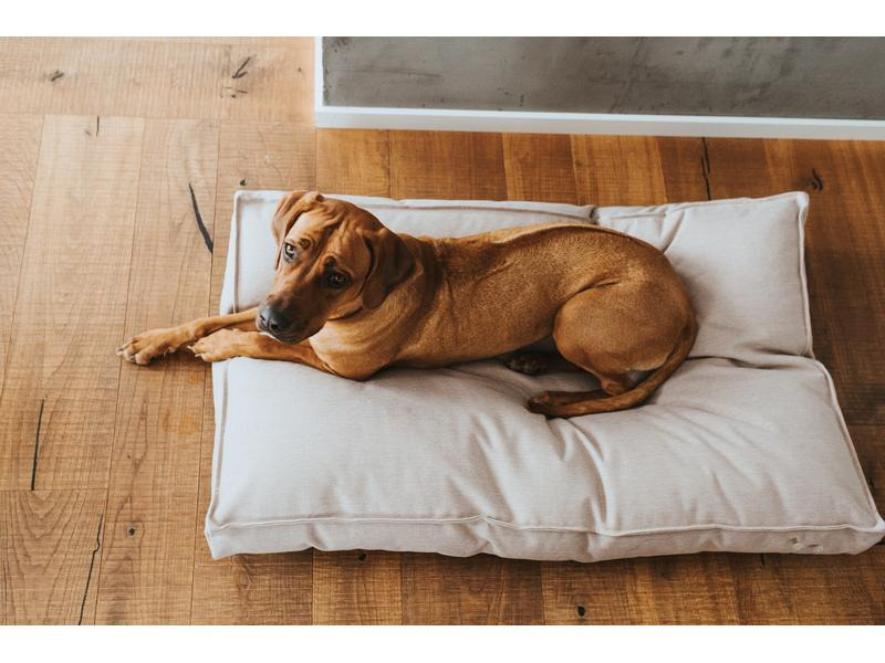 Hunter Hunde-Kissen Inari L, 100 x 70 cm, Beige