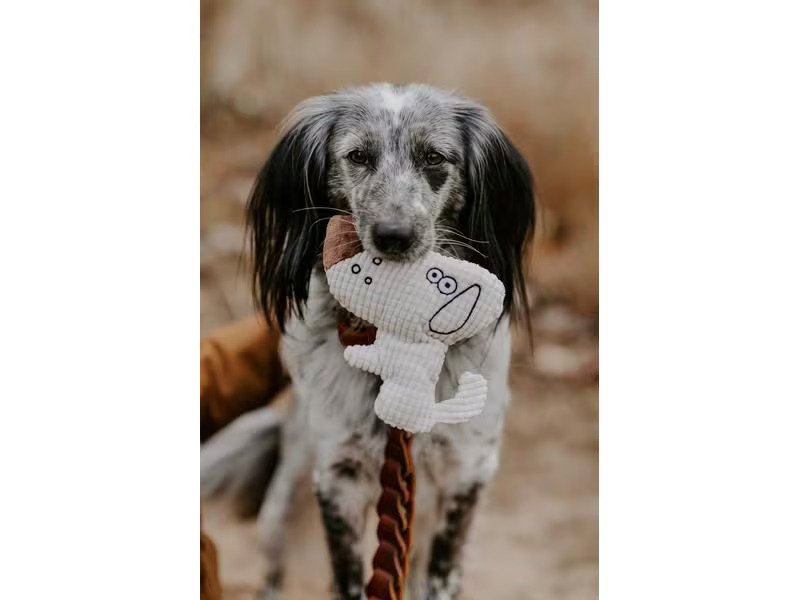 Hunter Hunde-Spielzeug Barry Hund 16 cm