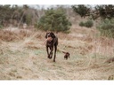 Hunter Hunde-Spielzeug Inari S, Ø 6 cm, Pastellrot