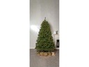 Star Trading Weihnachtsbaum Narvik, 2.1 m, Grün, 300 LED