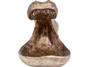 Kare Dekofigur Hungry Hippo Gold