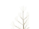 STT Baum Champagne, 390 LEDs, 120 cm
